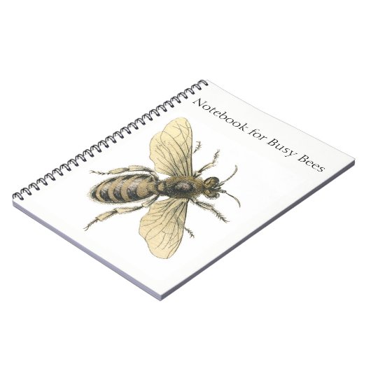 Carnet Fourmi ! (Côté gauche)