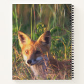 Carnet Fox (Dos)