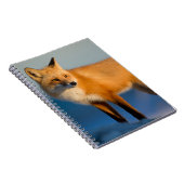 Carnet Fox Brown (Côté Droit)