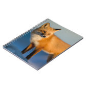 Carnet Fox Brown (Côté gauche)