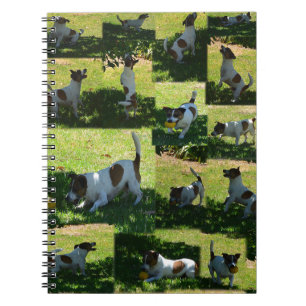 Carnet Fox Terrier, Le Jour Difficile,