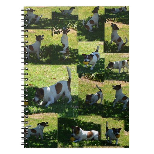 Carnet Fox Terrier, Le Jour Difficile, (Devant)