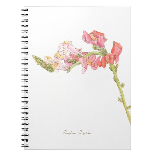 Carnet Foxglove (Devant)