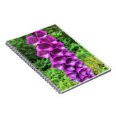 Carnet Foxglove Flowers, Oregon (Côté Droit)