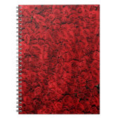 Carnet Fracas de rose rouge (Devant)