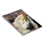 Carnet Fracguane (Côté Droit)