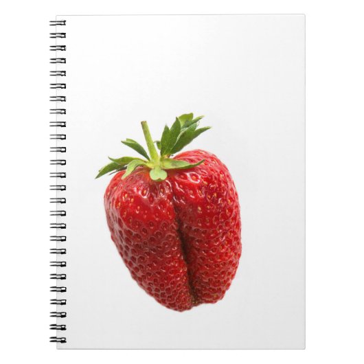 Carnet Fraise (Devant)