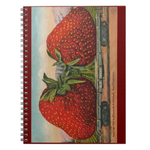 Carnet Fraises Géant Antique Fruit Amusant