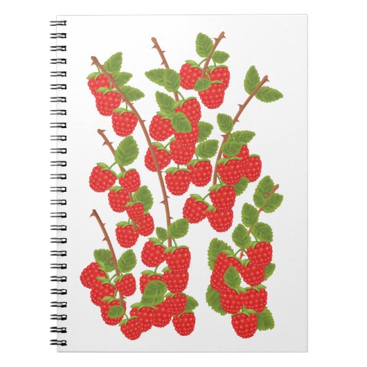 Carnet Framboise (Devant)