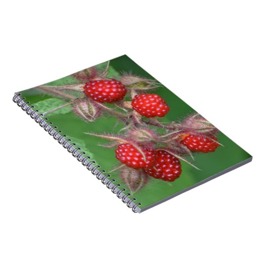 Carnet framboise (Côté Droit)