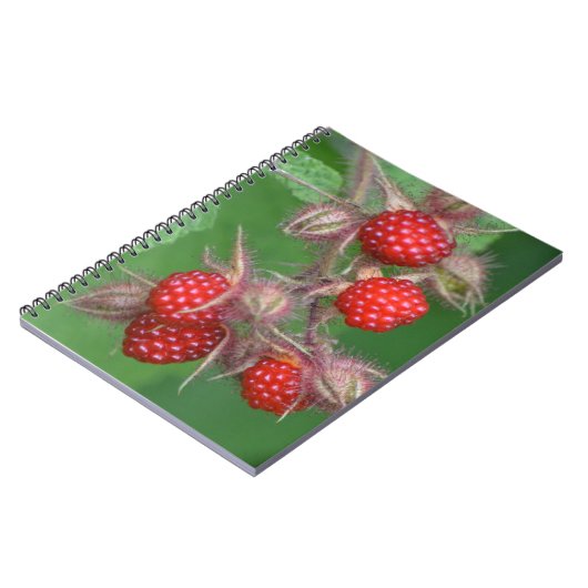 Carnet framboise (Côté gauche)