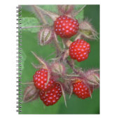 Carnet framboise (Devant)