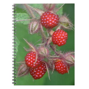 Carnet framboise