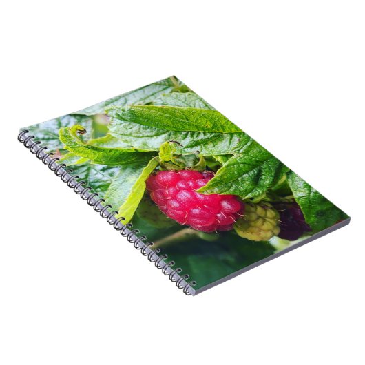 Carnet framboise (Côté Droit)