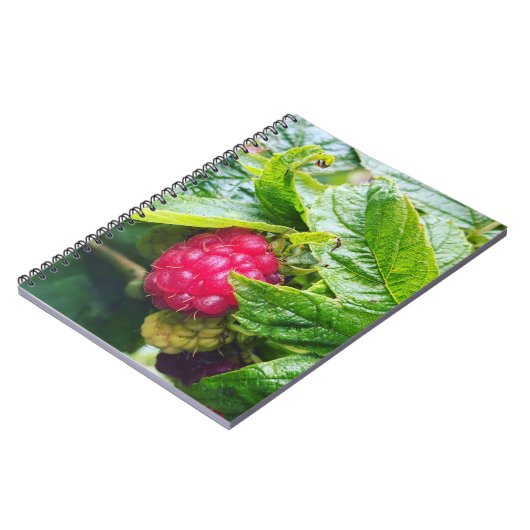 Carnet framboise (Côté gauche)