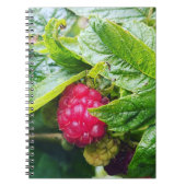 Carnet framboise (Devant)