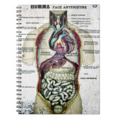 Carnet français vintage d'anatomie (Devant)