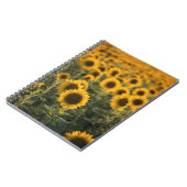 Carnet France, Vaucluse, champ de tournesols (Côté gauche)