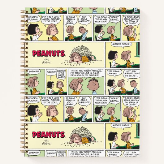 Carnet Franklin, Pepperment Patty & Marcie | Classe mathé (Devant)