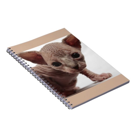 Carnet Freaky Cute Furless (Côté Droit)