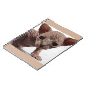 Carnet Freaky Cute Furless (Côté gauche)