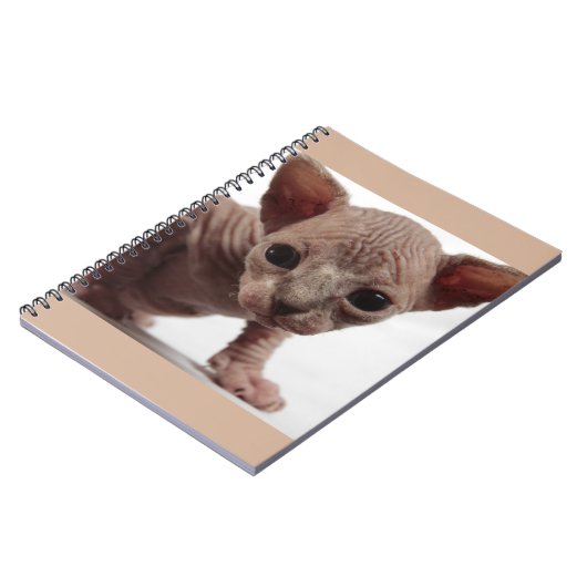 Carnet Freaky Cute Furless (Côté gauche)