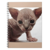 Carnet Freaky Cute Furless (Devant)