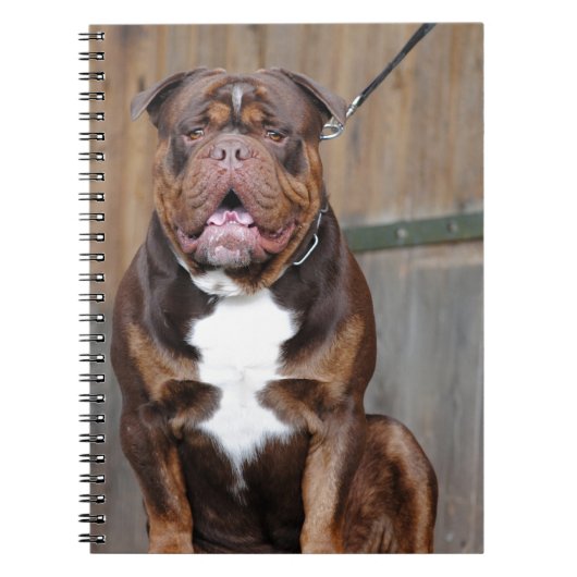 Carnet French Mastiff (Devant)