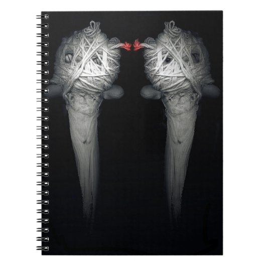 Carnet Frères 2013 (Devant)