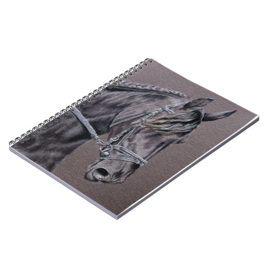 Carnet Friésien (Côté gauche)