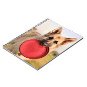 Carnet Frisbee (Côté gauche)