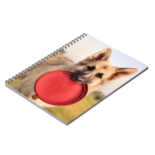 Carnet Frisbee (Côté gauche)