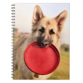 Carnet Frisbee (Devant)