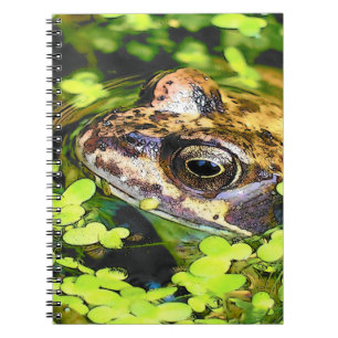 CARNET FROG