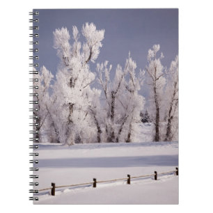 Carnet Frost a couvert les arbres et la barrière, le