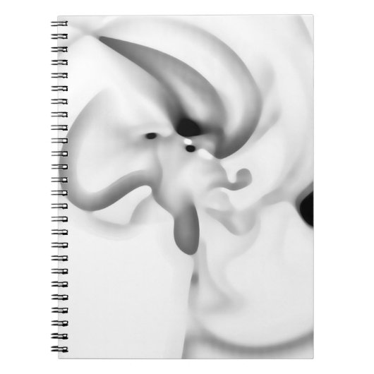 Carnet Frozen : gris Abstrait, blanc et noir (Devant)