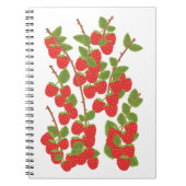 Carnet Fruit de framboise (Devant)