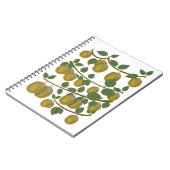 Carnet Fruit de kiwi (Côté gauche)