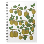 Carnet Fruit de kiwi (Devant)