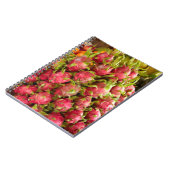 Carnet Fruit dragon | Can Duoc Market (Côté gauche)