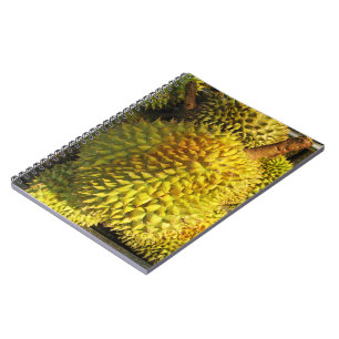 Carnet Fruit durian