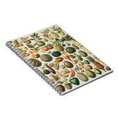 Carnet Fruit Légume Illustration Botanique Scientifique (Côté Droit)