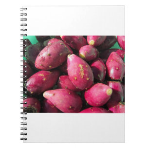Carnet Fruit rouge lumineux de figuier de barbarie