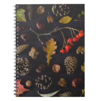 CARNET FRUITS BEAUCOUP SUR LA SURFACE NOIRE