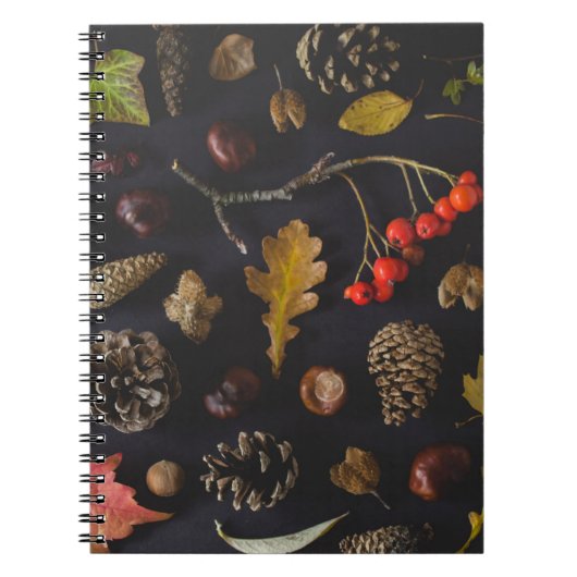 CARNET FRUITS BEAUCOUP SUR LA SURFACE NOIRE (Devant)