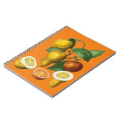 CARNET FRUITS DE CITRÉ (Côté gauche)