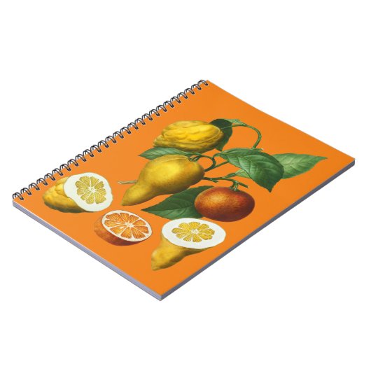 CARNET FRUITS DE CITRÉ (Côté gauche)