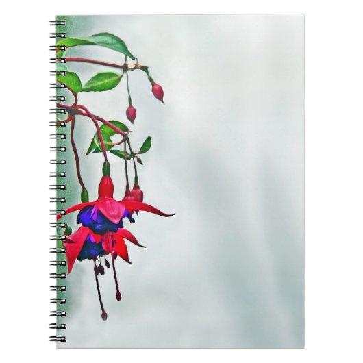 Carnet Fuchsia (Devant)