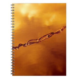Carnet Fuge de fil barbelé