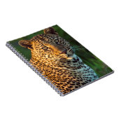 Carnet Full-Grown Cub (Côté Droit)